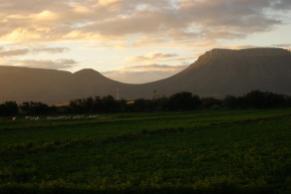 Camdeboo mountains behind the farm